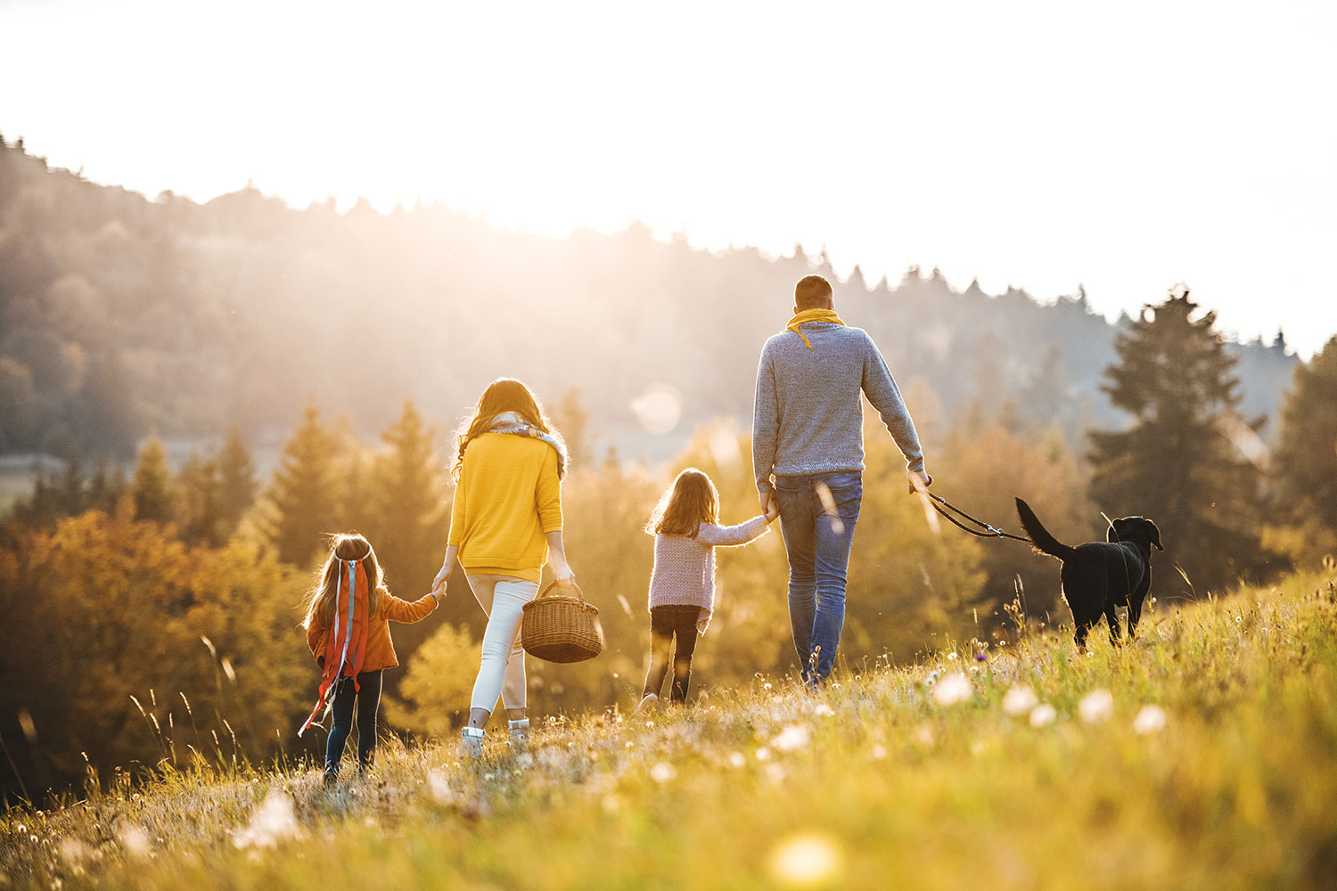28 Awesome Kid Friendly Activities Around Denver This Fall Partners